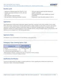 C640C102MHR5TA Datasheet Page 2