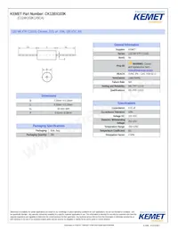 CK13BX103K Datenblatt Cover