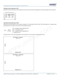 ESC108M016AH4AA Datasheet Page 13