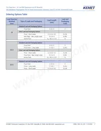 F862BK124K310ALR0L Datasheet Page 2