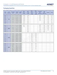 F863DV155M310L Datasheet Page 12