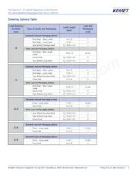 F872BE333M480C Datasheet Page 2