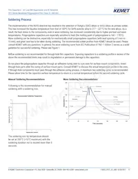 F872BE333M480C Datasheet Page 11