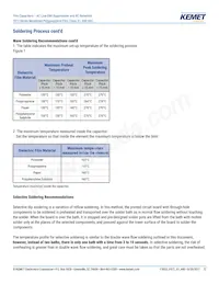 F872BE333M480C Datasheet Page 12