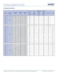 F872BE333M480C Datasheet Page 15