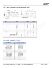 FCS0H224ZFTBR24 Datasheet Page 9