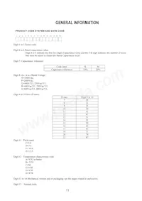 KJN222MS51FAAAA Datasheet Page 13