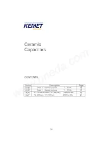 KJN222MS51FAAAA Datasheet Pagina 16