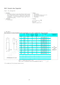 KJN222MS51FAAAA Datasheet Pagina 19