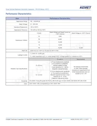 PEH169MJ5100QB2 Datasheet Pagina 2