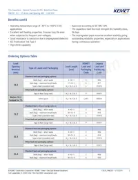 PME261JB5220KR30 Datenblatt Seite 2