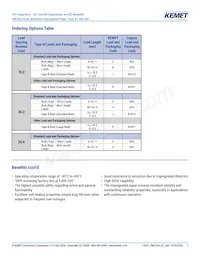 PME264NB5100MR30 Datasheet Page 2