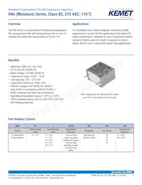 R46KI333040P1K Datasheet Cover