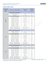 R46KI333040P1K Datasheet Page 2