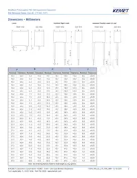 R46KI333040P1K Datasheet Page 3