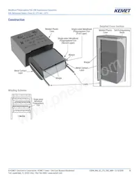 R46KI333040P1K Datasheet Page 10