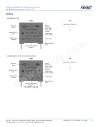 R46KI333040P1K Datasheet Page 11