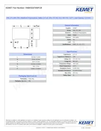 R46KN347000P1M Datasheet Copertura