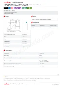 RPE5C1H102J2K1A03B Datenblatt Cover