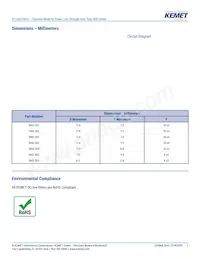 SHO-101 Datasheet Page 2
