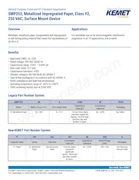 SMP253MA4470MTV24 Datasheet Copertura