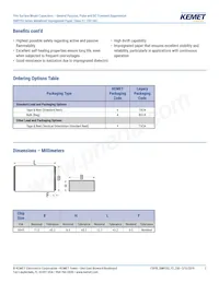 SMP253MA4470MTV24 Datasheet Page 2