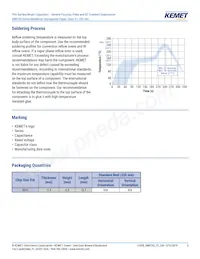 SMP253MA4470MTV24 Datasheet Page 5