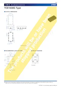 TCE1608G-900-4P Datasheet Page 5