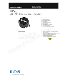 UP2C-100-R Datasheet Cover
