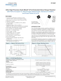 Y1183150K000T9L Datasheet Copertura