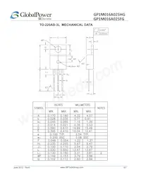 GP1M016A025HG Datasheet Page 6