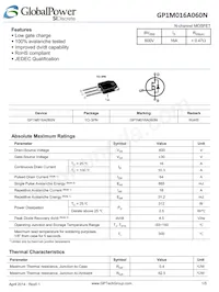 GP1M016A060N Datasheet Cover