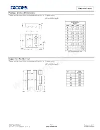 DMP4047LFDE-7 Datenblatt Seite 6