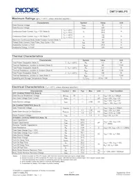 DMT31M6LPS-13 Datasheet Pagina 2