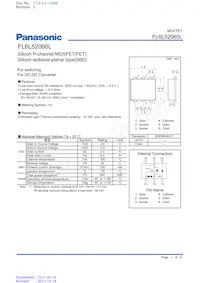 FL6L52060L Datasheet Copertura