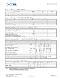 DMS2120LFWB-7 Datenblatt Seite 2