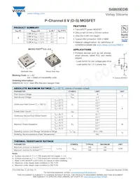 SI8805EDB-T2-E1 Datenblatt Cover