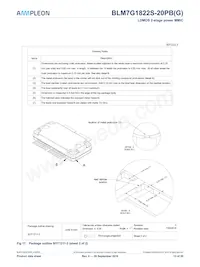 BLM7G1822S-40ABGY Datasheet Page 13