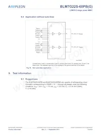 BLM7G22S-60PBGY Datasheet Page 13