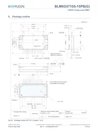 BLM8G0710S-15PBGY Datasheet Pagina 14