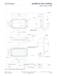 BLM8G0710S-15PBGY Datasheet Pagina 16