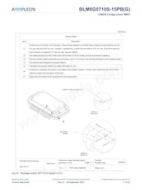 BLM8G0710S-15PBGY Datasheet Pagina 17