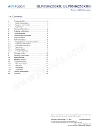 BLP05H6250XRY Datasheet Page 15