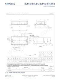 BLP05H675XRGY Datasheet Page 12