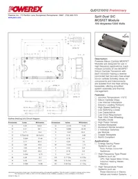 QJD1210010 Datasheet Cover