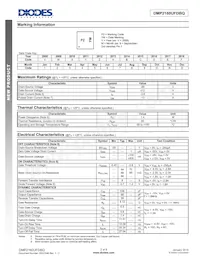 DMP2160UFDBQ-7 Datenblatt Seite 2