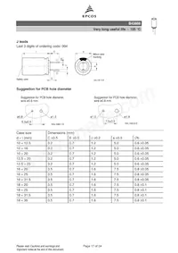 B43888P2686M000 Datasheet Pagina 17