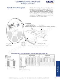 C0603C225K9PALTU Datenblatt Seite 3