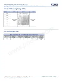 C2225X102JZGACTU Datasheet Page 5