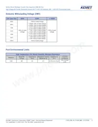 C2225X102JZGACTU Datasheet Pagina 5